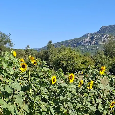 Ethno 14 - Montenegro *
